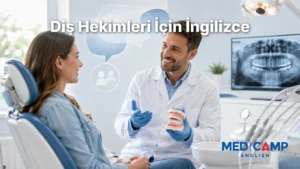 Diş kliniğinde hasta ile iletişim kuran ve diş modeli üzerinden açıklama yapan diş hekimi.